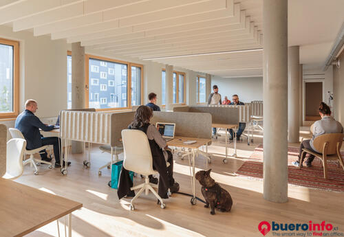 Büros zu vermieten in Lakefirst Coworking Space